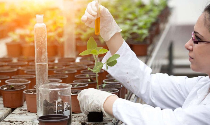 Global Agricultural Testing Market Is Estimated To Witness High Growth Owing To Rising Demand for Quality Agricultural Products and Increasing Stringency of Regulations