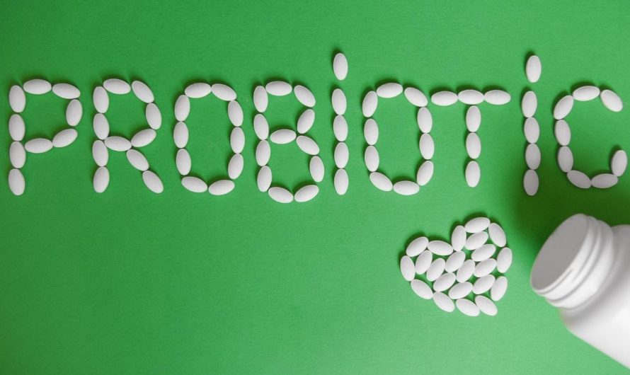 Probiotics Market: Rising Demand for Gut Health Boosts Growth