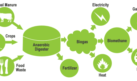 Waste and Biomass Valorization Market