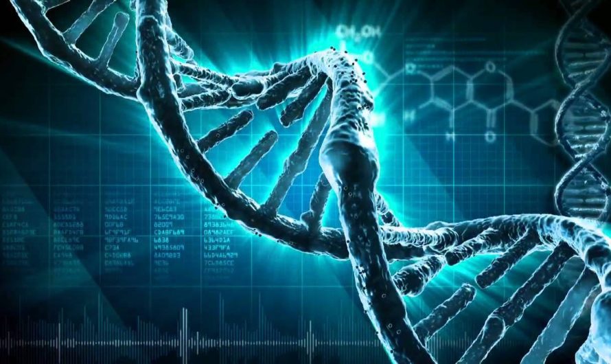 DNA Synthesizer Market: Transforming Genetic Research with Advanced Technology