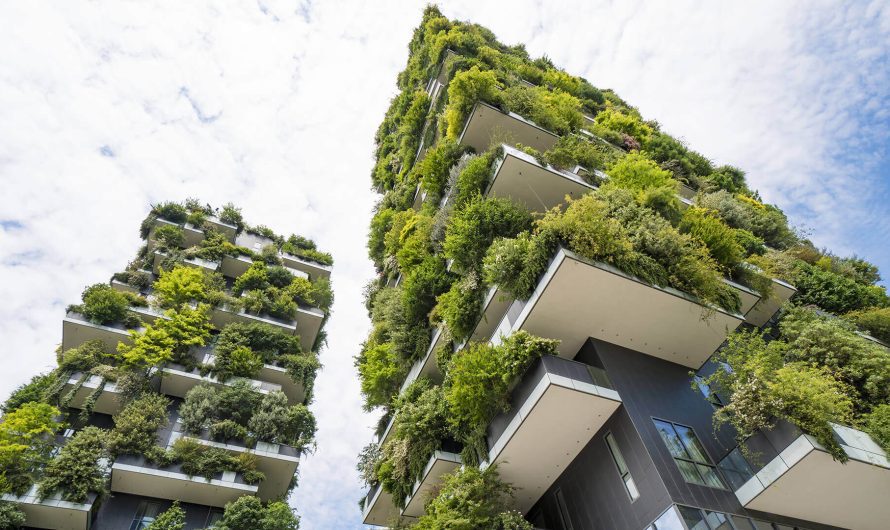 Green Construction Market: Driving Sustainable Growth in the Construction Industry