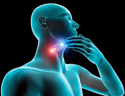 Head and Neck Cancer Market is Estimated To Witness High Growth Owing To Increasing Incidences of Head and Neck Cancers
