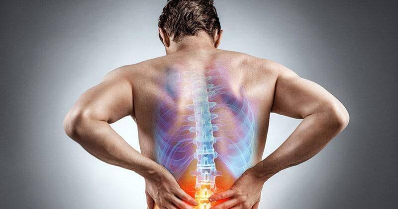 Individualized Back Training Machine Developed to Alleviate Back Pain