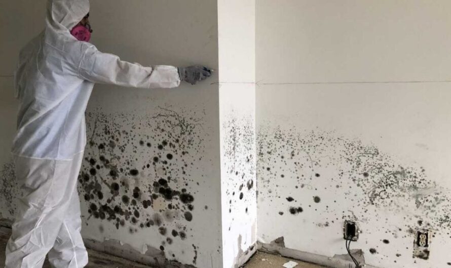 Mold Remediation Service Market High Growth of Construction Industry