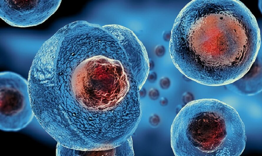 Stem Cell Therapy Market is Estimated To Witness High Growth Owing To Increasing Focus on R&D for Novel Applications