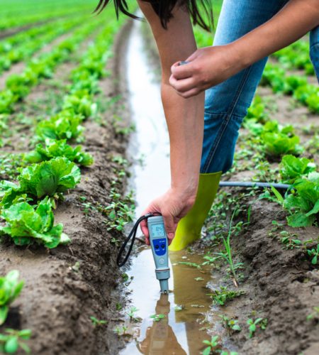 Soil And Water Testing Is The Largest Segment Driving The Growth Of Agricultural Testing Market