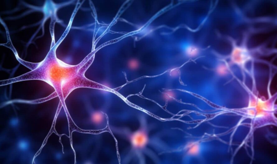 Novel Methods for Cultivating Brain Cells to Treat and Study Neurological Diseases