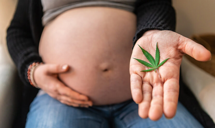 Cannabis Exposure Associated with Higher Risk of Unhealthy Pregnancy Outcomes, Study Finds