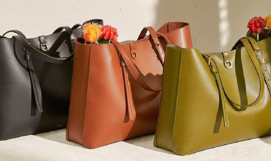 The Rising Popularity Of Eco-Friendly Accessories Is Driving The Luxury Vegan Handbags Market