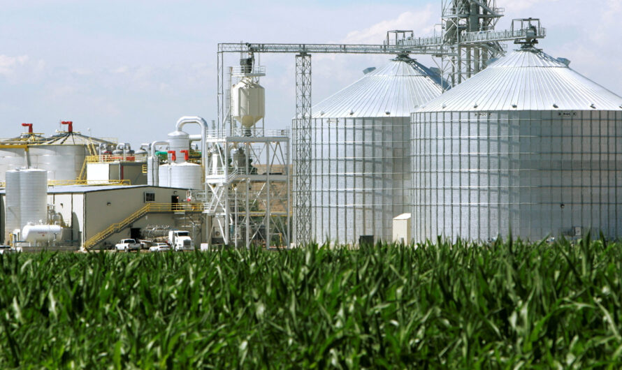 The Rapid Rise of Biofuels is anticipated to open up the new avenue for U.S. Biofuels Market