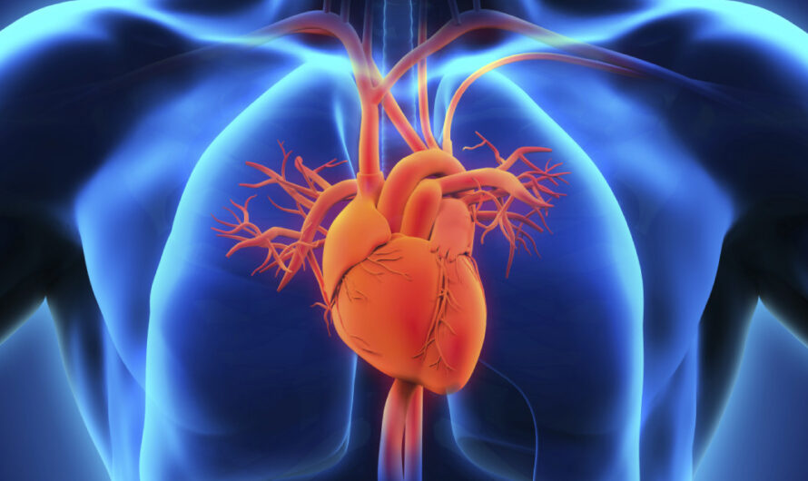 Cardiac Biomarkers: Keys to Diagnosing Heart Diseases