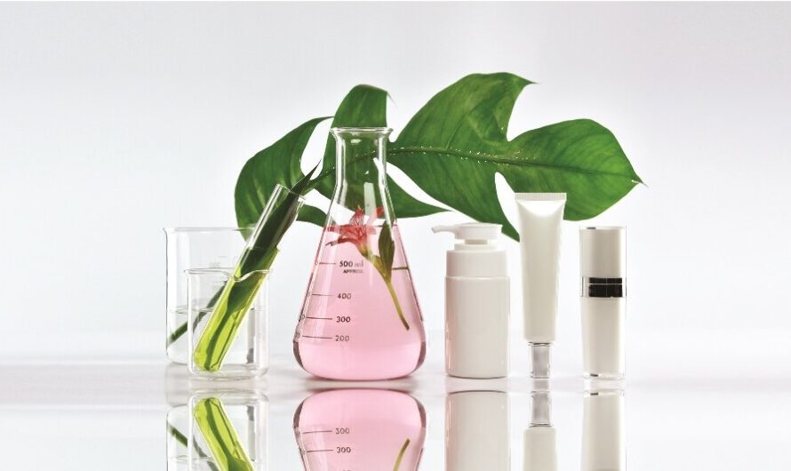 Cosmeceuticals Market Propelled by Growing Awareness Regarding Benefit of Cosmetic Products