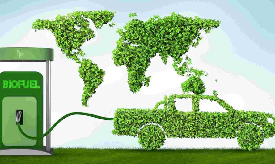 The Thriving India Biofuels Market Driven By Government Support For Renewable Energy In Transportation Sector
