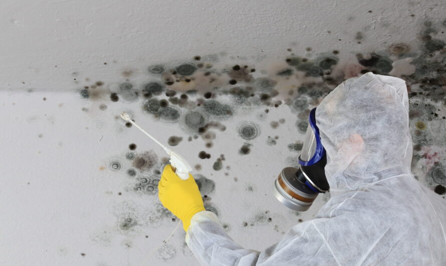 The Mold Remediation Service Market is estimated to exhibit significant growth is Propelled by growing health concerns due to mold
