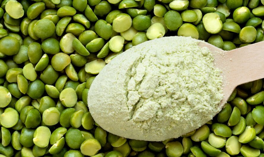 Rising Demand For Plant-Based Products Is Expected To Boost Global Pea Starch Market Growth