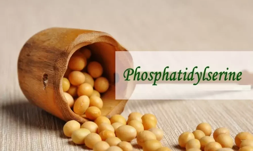 Phosphatidylserine Market Propelled by Rising Demand for Brain Health Supplements