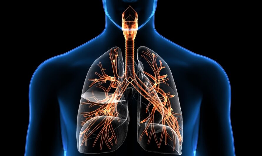 The Global Respiratory Disease Testing Market Is Driven By Rising Prevalence Of Respiratory Diseases