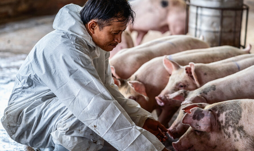 The Swine Fever Vaccine Market Is Expected To Be Propelled By Growing Demand For Swine Disease Control