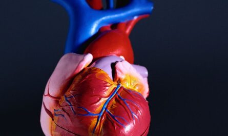 Gene Therapy Shows Promise In Slowing The Progression Of Life-Threatening Heart Condition