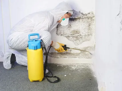 The Global Mold Remediation Service Market Driven By High Prevalence Of Mold Contamination Cases