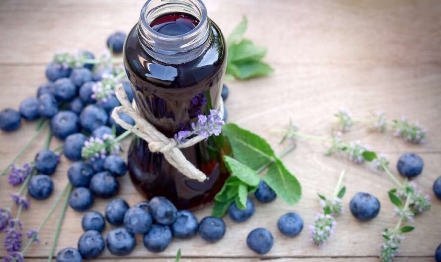 Berry Bonanza: Exploring the Blueberry Ingredient Market