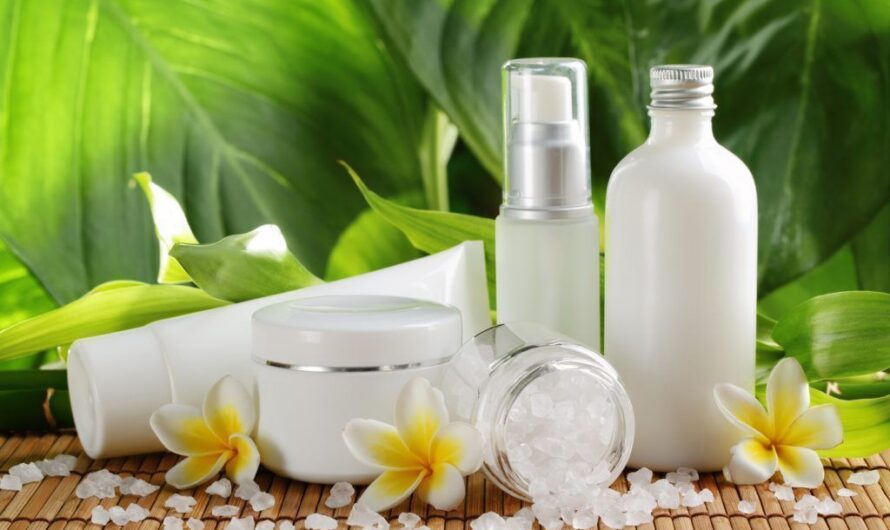 Skincare Dermocosmetics Market Gains Traction with Growing Demand for Natural Ingredients