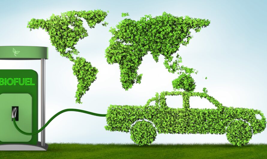 India Biofuels Market Is Expected To Be Flourished By Increasing Government Support