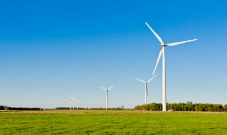 Wind Farm Project