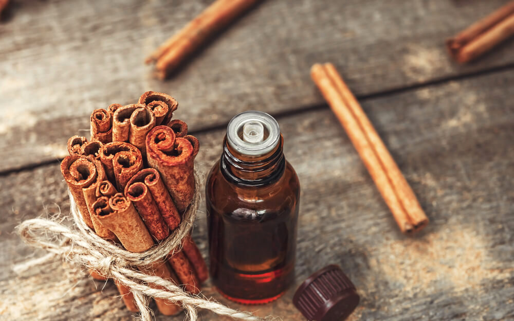Cinnamon Bark Oil Market