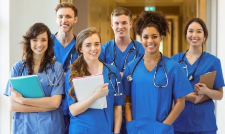 Global Nursing Resource Allocation Market