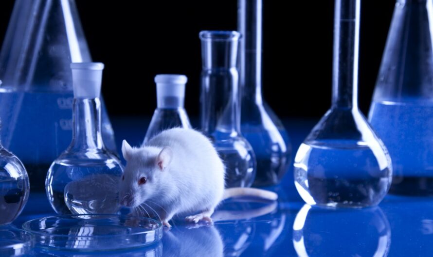 Animal Biotechnology Market Is Paving The Way For Revolutionary Advancements In Veterinary Medicine