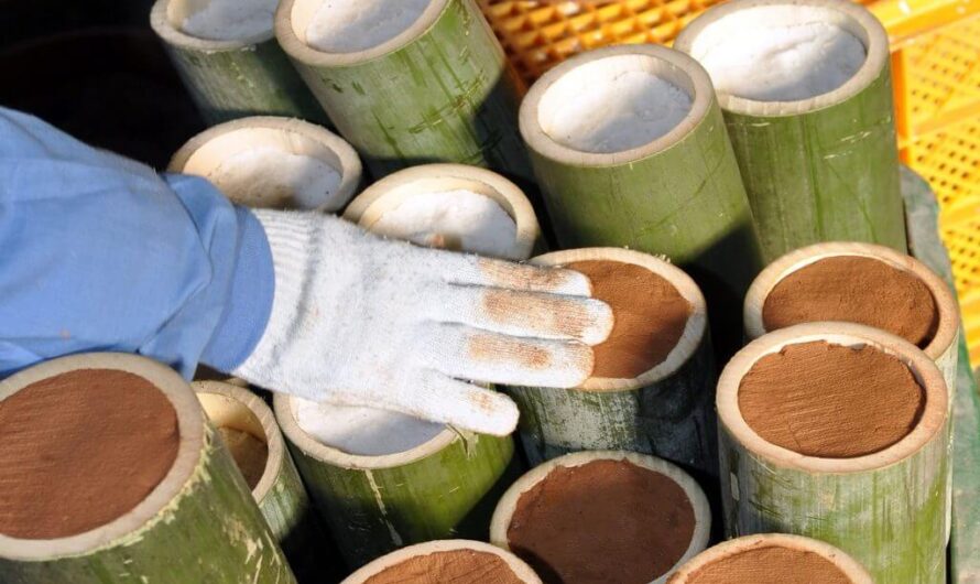 Bamboo Salt Market Is Trending With Increasing Health Consciousness