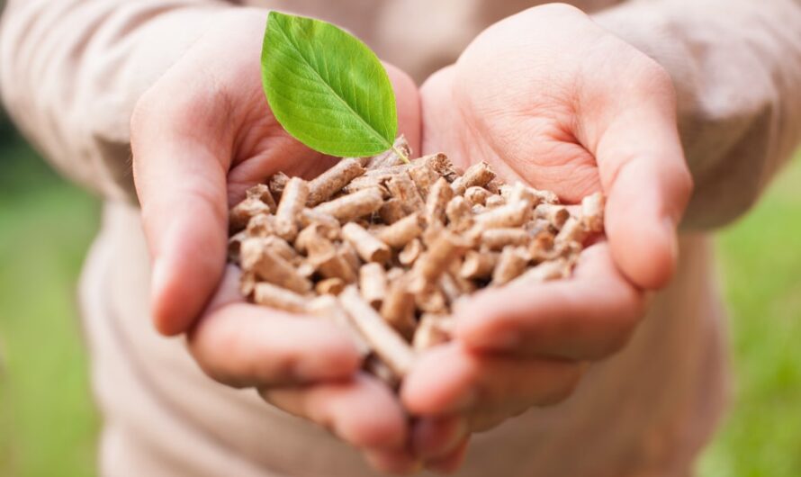 Biomass Solid Fuel Market Thrives on Renewable Energy Trends