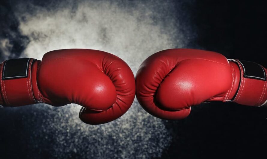 Boxing Gloves Market is driven by rapid growth in Sports Tourism Industry