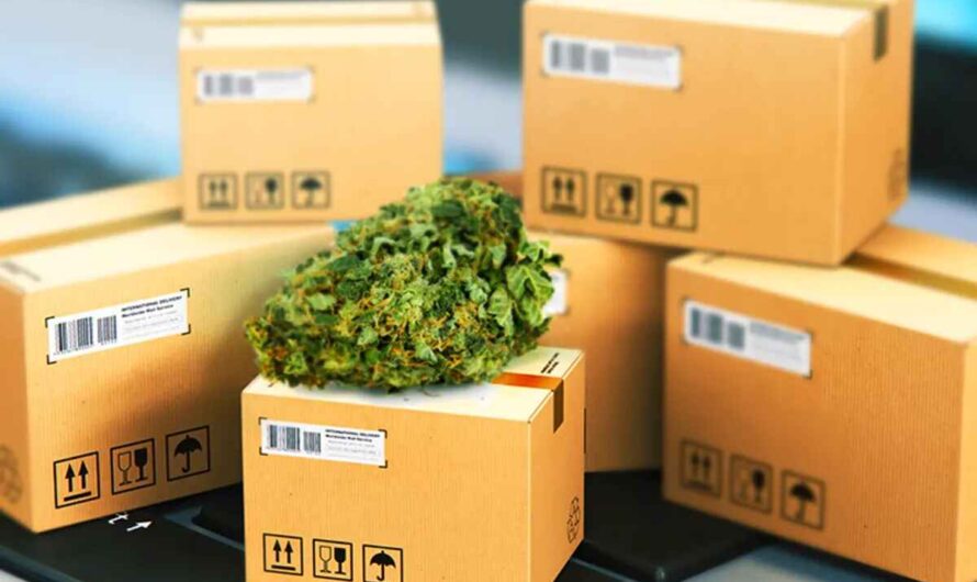 Cannabis Packaging: Ensuring Product Safety and Compliance from Seed to Sale