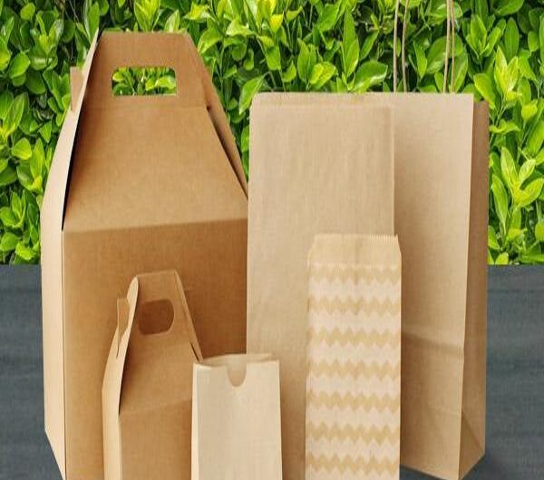Disappearing Packaging: How Biodegradable Materials Are Shaping the Future of Product Wrapping