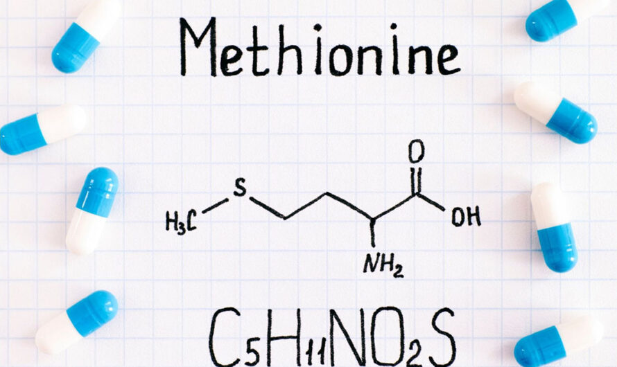 Understanding Methionine: Roles, Benefits, and Sources in Human Health