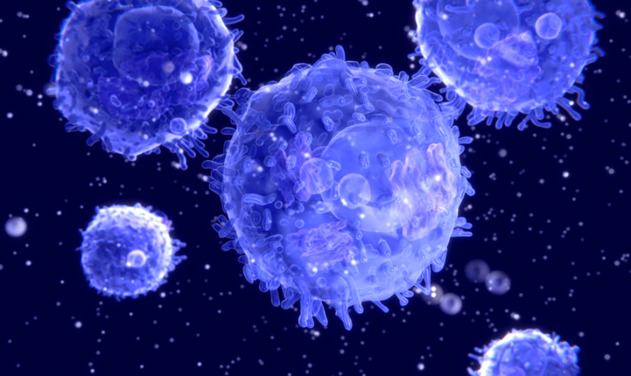 Overcoming Graft-versus-Host Disease with Regulatory T Cells Derived from Immunosuppressive iPS Cells