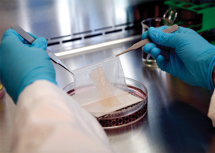 Tissue Engineering: A Promising Field in Regenerative Medicine