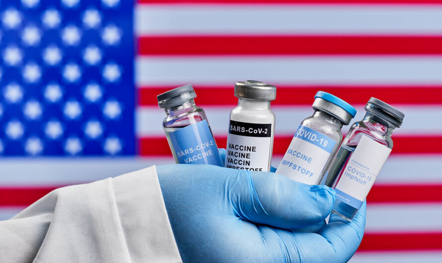 An Overview of Progress and Challenges in the U.S. Vaccine