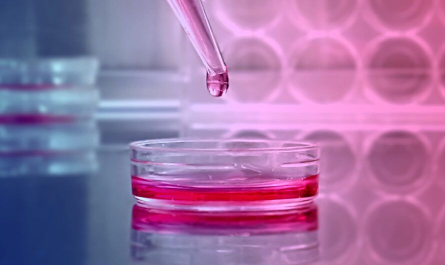 Primary Cell Culture Market is Strengthening by Growing Focus on Personalized Medicine