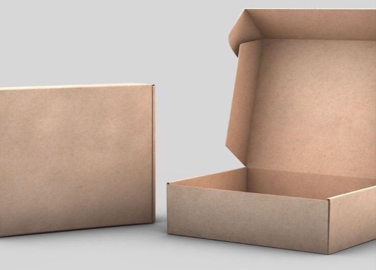 Mailer Packaging: Maximizing Mail Marketing Campaigns The Power of Effective Packaging Solutions