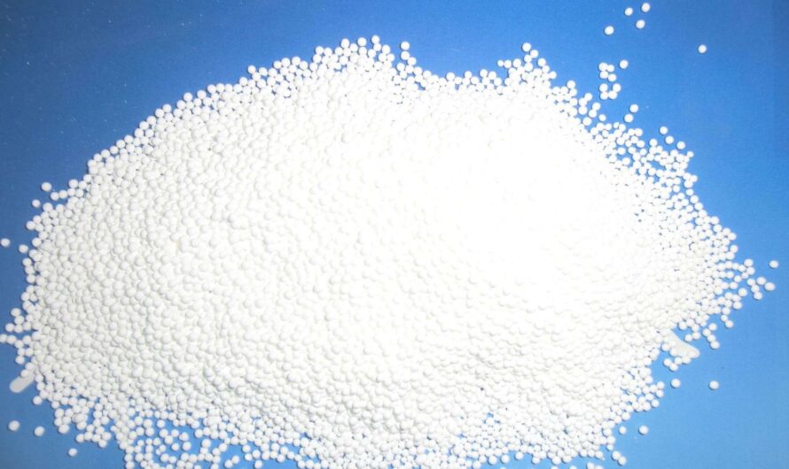 Sodium Benzoate Market Primed for Growth Driven by Food Preservation Applications